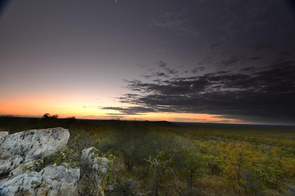 Mtomeni Safari Camp Hotel พาลาบอร์วา ภายนอก รูปภาพ
