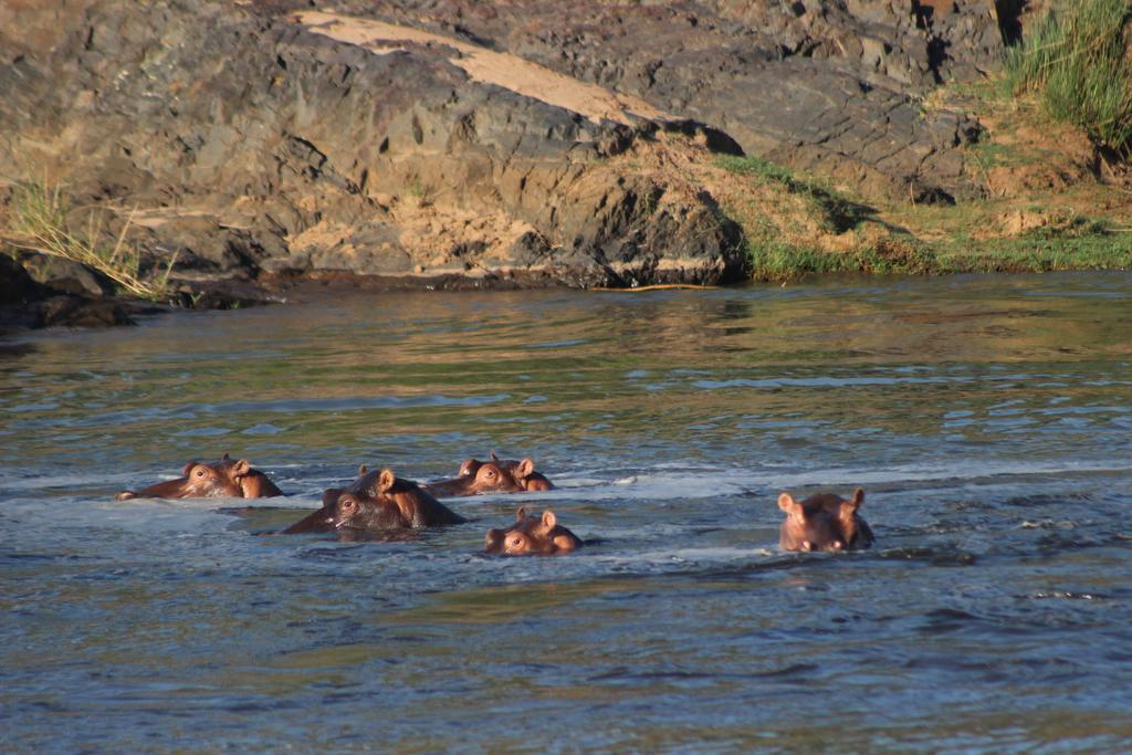 Mtomeni Safari Camp Hotel พาลาบอร์วา ภายนอก รูปภาพ